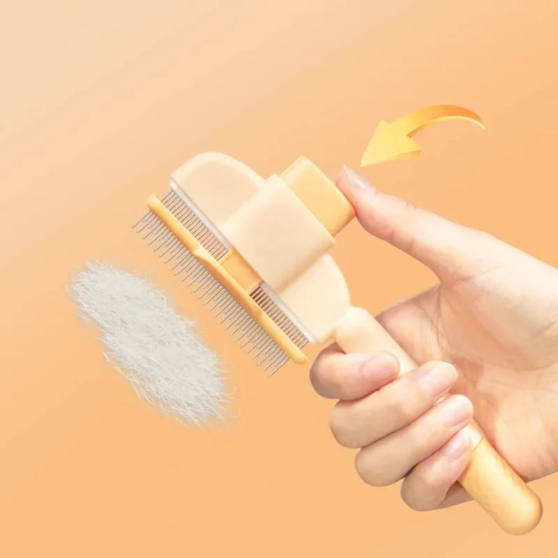 Brosse de démêlage et de massage