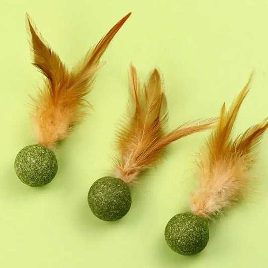 Jouet interactif avec herbe à chat et plumes